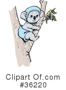 Koala Clipart #36220 by Dennis Holmes Designs