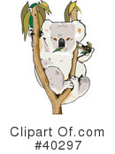 Koala Clipart #40297 by Dennis Holmes Designs