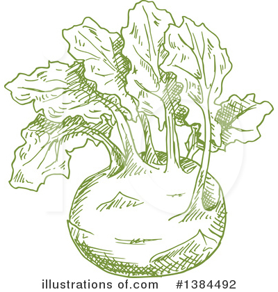 Kohlrabi Clipart #1384492 by Vector Tradition SM