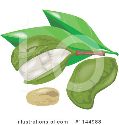 Royalty-Free (RF) Kola Nut Clipart Illustration by patrimonio - Stock Sample #1144988
