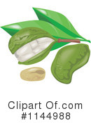Kola Nut Clipart #1144988 by patrimonio