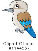Kookaburra Clipart #1144567 by visekart