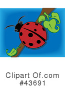 Ladybug Clipart #43691 by mheld