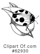 Ladybug Clipart #62930 by LoopyLand