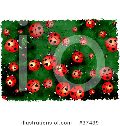 Ladybug Clipart #37439 by Prawny