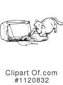 Lamb Clipart #1120832 by Prawny Vintage