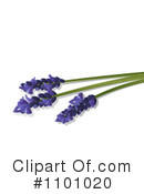 Lavender Clipart #1101020 by elaineitalia