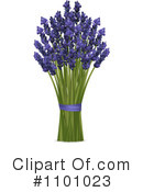 Lavender Clipart #1101023 by elaineitalia