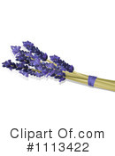 Lavender Clipart #1113422 by elaineitalia