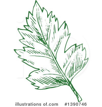 Royalty-Free (RF) Leaf Clipart Illustration by Vector Tradition SM - Stock Sample #1390746