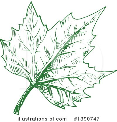 Royalty-Free (RF) Leaf Clipart Illustration by Vector Tradition SM - Stock Sample #1390747