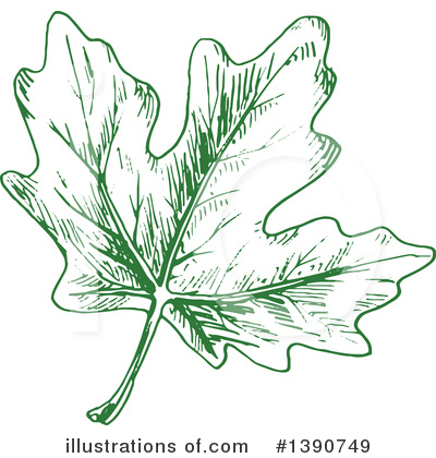 Royalty-Free (RF) Leaf Clipart Illustration by Vector Tradition SM - Stock Sample #1390749