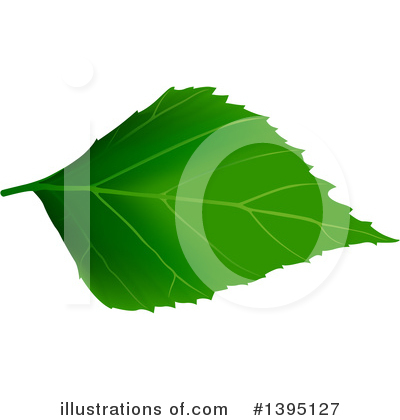 Royalty-Free (RF) Leaf Clipart Illustration by dero - Stock Sample #1395127