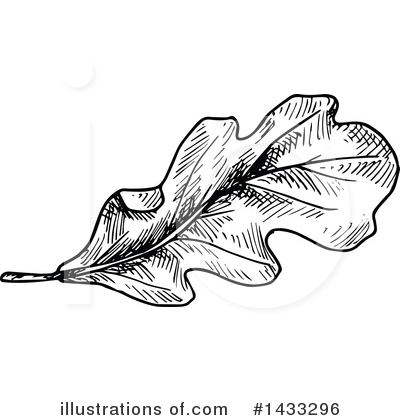 Royalty-Free (RF) Leaf Clipart Illustration by Vector Tradition SM - Stock Sample #1433296