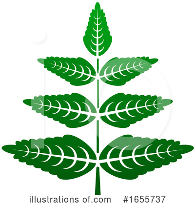 Royalty-Free (RF) Leaf Clipart Illustration by Vector Tradition SM - Stock Sample #1655737