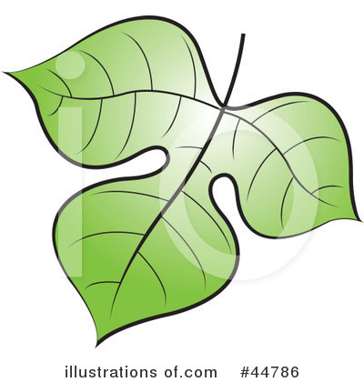 Royalty-Free (RF) Leaf Clipart Illustration by Lal Perera - Stock Sample #44786