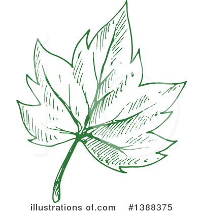 Maple Leaf Clipart #1388375 by Vector Tradition SM