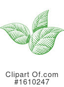Leaves Clipart #1610247 by cidepix