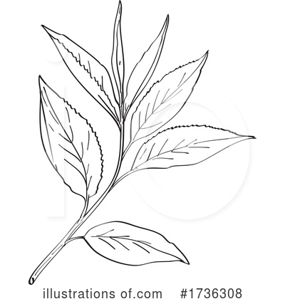 Royalty-Free (RF) Leaves Clipart Illustration by patrimonio - Stock Sample #1736308