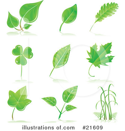 Royalty Free Photos on Leaves Clipart 21609 By Tonis Pan Royalty Free Rf Stock Images