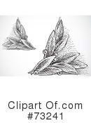 Leaves Clipart #73241 by BestVector