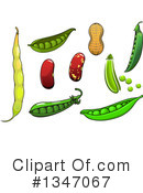 Legumes Clipart #1347067 by Vector Tradition SM