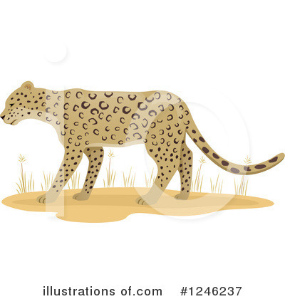 Royalty-Free (RF) Leopard Clipart Illustration by BNP Design Studio - Stock Sample #1246237