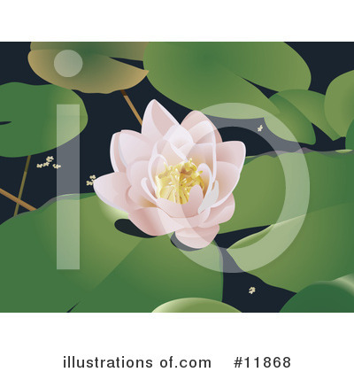 Lotus Clipart #11868 by AtStockIllustration