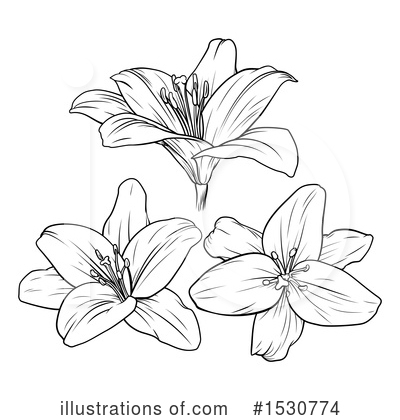 Lily Clipart #1530774 by AtStockIllustration