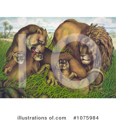 Lion Clipart #1075984 by JVPD