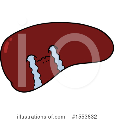 Liver Clipart #1553832 by lineartestpilot