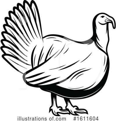 Turkey Bird Clipart #1611604 by Vector Tradition SM