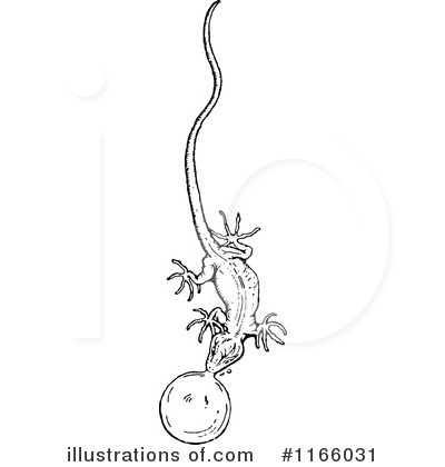 Royalty-Free (RF) Lizard Clipart Illustration by Prawny Vintage - Stock Sample #1166031