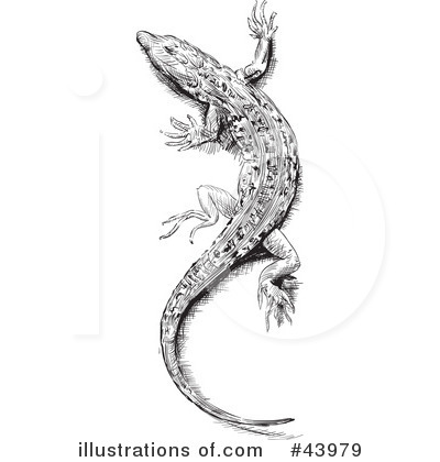 Royalty-Free (RF) Lizard Clipart Illustration by Paulo Resende - Stock Sample #43979