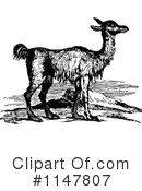 Llama Clipart #1147807 by Prawny Vintage