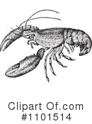 Lobster Clipart #1101514 by BestVector