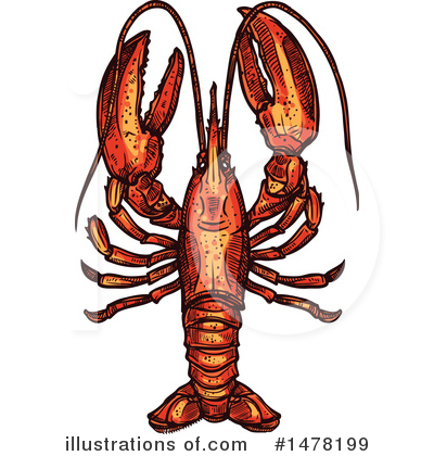 Lobster Clipart #1478199 by Vector Tradition SM