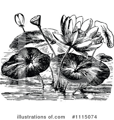 Botanical Clipart #1115074 by Prawny Vintage