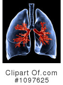 Lungs Clipart #1097625 by Mopic