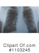 Lungs Clipart #1103245 by Andrei Marincas