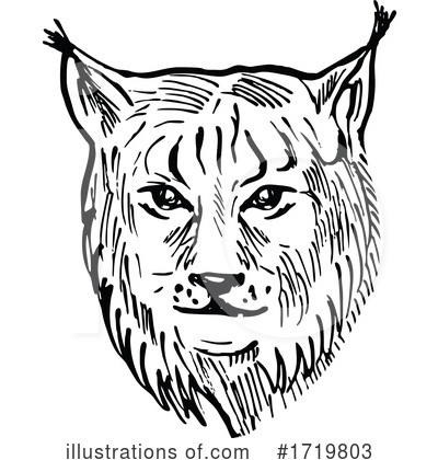 Lynx Clipart #1719803 by patrimonio