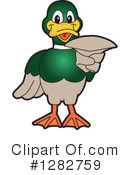 Mallard Duck Clipart #1282759 by Mascot Junction