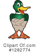 Mallard Duck Clipart #1282774 by Mascot Junction