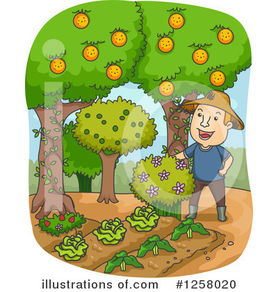 Orchard Clipart #1258020 by BNP Design Studio