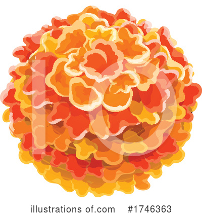 Royalty-Free (RF) Marigold Clipart Illustration by Vector Tradition SM - Stock Sample #1746363