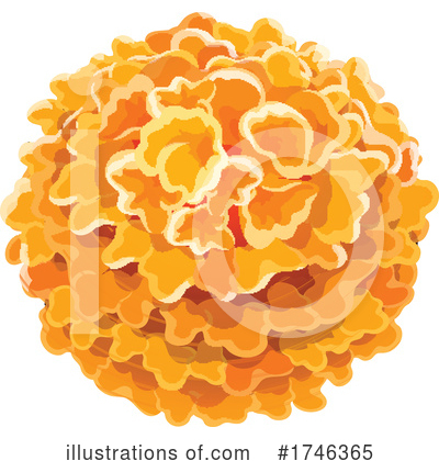 Marigold Clipart #1746365 by Vector Tradition SM