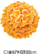 Marigold Clipart #1746365 by Vector Tradition SM