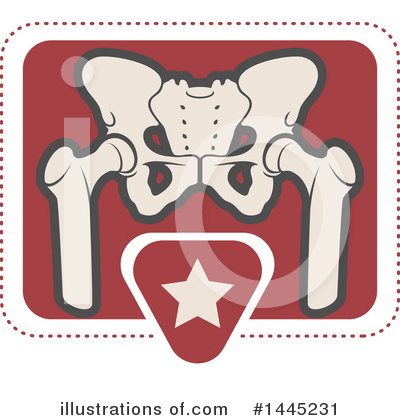Pelvis Clipart #1445231 by Vector Tradition SM