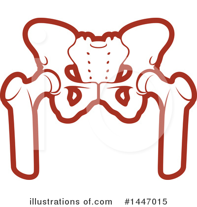 Pelvis Clipart #1447015 by Vector Tradition SM