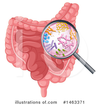 Intestine Clipart #1463371 by Graphics RF